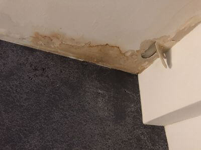 Professional water damage restoration services in Oakville